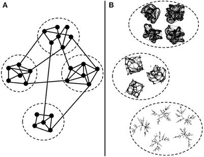 Spectral density-based clustering algorithms for complex networks